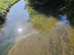Erms Niedrigwasser