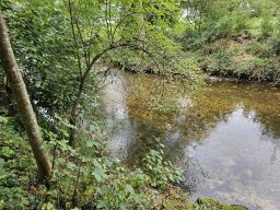 Erms Niedrigwasser