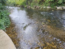 Erms Niedrigwasser