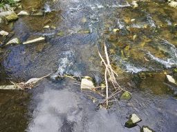 Erms Niedrigwasser